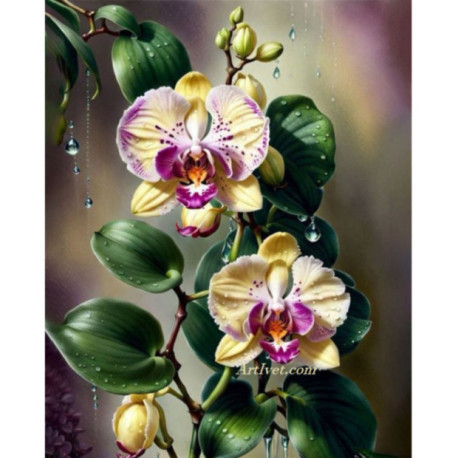 Pictura pe numere - Orhidei gingase cu nuante lilave