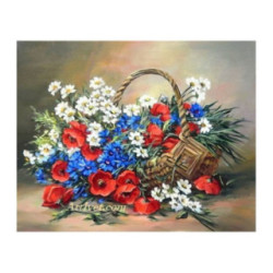 Pictura pe numere - Flori de camp - albe,rosii si albastre