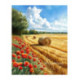 Pictura pe numere - Maci langa graul cosit