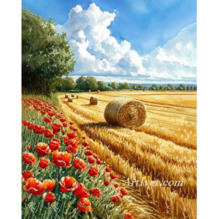 Pictura pe numere - Maci langa graul cosit