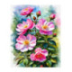 Pictura pe numere - Trandafiri salbatici