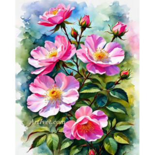 Pictura pe numere - Trandafiri salbatici