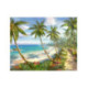 Pictura pe numere - Palmieri pe malul marii