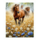 Pictura pe numere - Cai liberi printe flori si grau