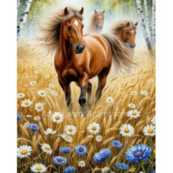 Pictura pe numere - Cai liberi printe flori si grau