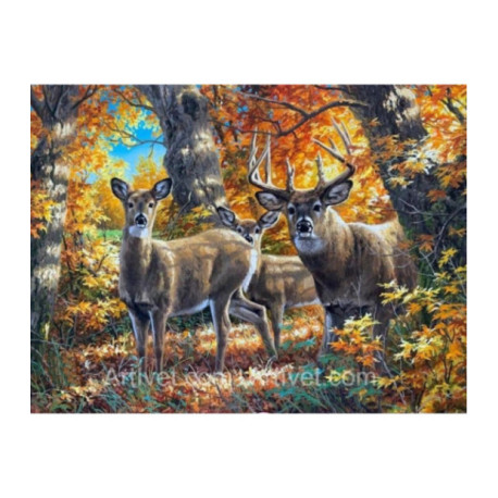 Pictura pe numere - Familie de cerbi in padure