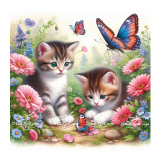 Pictura pe numere - Doua pisicute pufoase si fluturele 40х40 сm