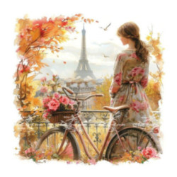 Pictura pe numere - Paris - Orasul iubirii 40х40 сm