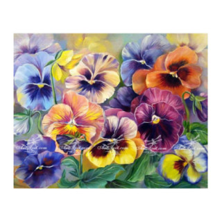 Pictura pe numere - Prietena mea panseluta 40х50сm