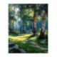 Pictura pe numere - Padurea de stejari 40х50сm