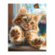 Pictura pe numere - Pisica cu labute moi 40х50сm