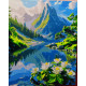 Pictura pe numere - Nuferii din lacul de munte