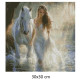Goblen de diamante - Mireasa si calul alb