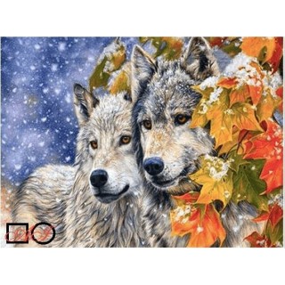 Pictura pe numere – Povestea celor doi lupi