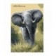 Pictura pe numere - Elefant