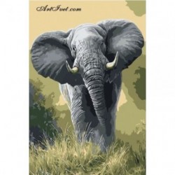 Pictura pe numere - Elefant