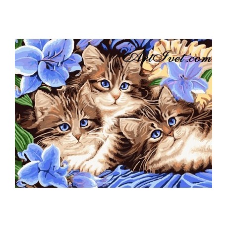 Pictura pe numere - Pisicute si flori albastre