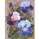 Goblen de diamante Irisi in albastru